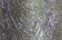 Collingbourne Kingston fibreglass roof work